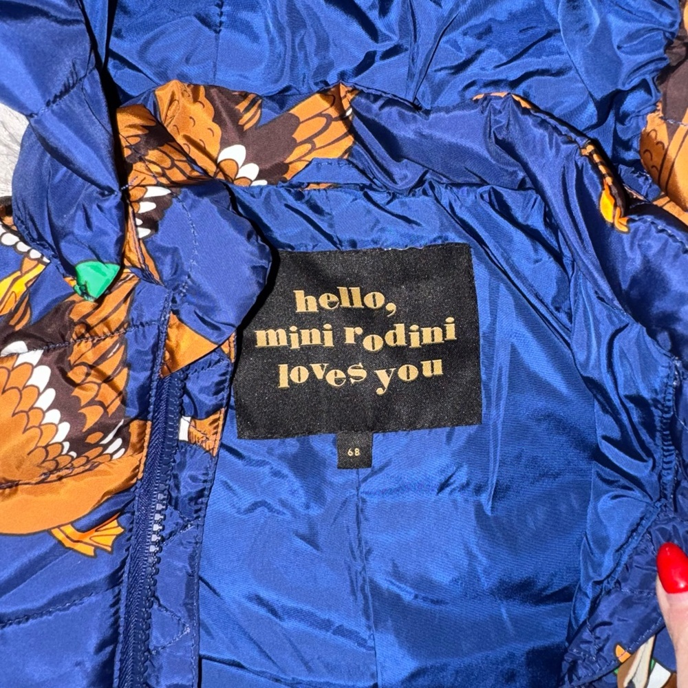 Toddler Boy Snowsuit Puffer Mallard Duck Print - Blue - Picture 4 of 4